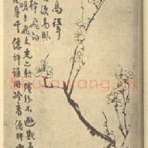 清代 汪士慎国画作品《画梅》摘自 南画大成 续集四·补遗