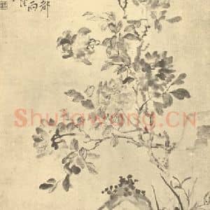 清代 李鳝国画作品《牡丹兰石图》摘自 南画大成 续集四·补遗