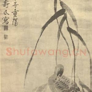 清代 边寿民国画作品《芦雁》摘自 南画大成 续集四·补遗