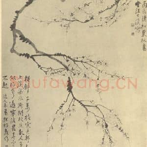 清代 汪士慎国画作品《梅花》摘自 南画大成 卷三