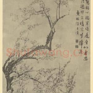清代 汪士慎国画作品《梅花》摘自 南画大成 卷三