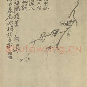 清代 陈撰国画作品《梅花》摘自 南画大成 卷三