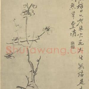 清代 陈撰国画作品《梅花》摘自 南画大成 卷三