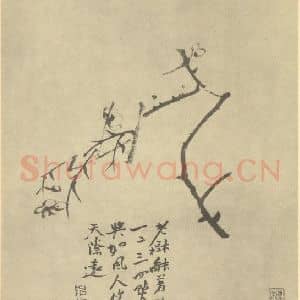 清代 陈撰国画作品《梅花》摘自 南画大成 卷三