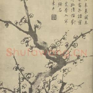清代 项奎国画作品《梅花》摘自 南画大成 卷三