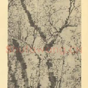 清代 金农国画作品《梅花》摘自 南画大成 卷三
