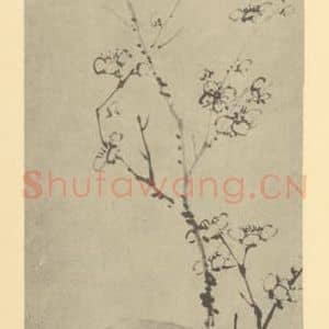 清代 张问陶国画作品《梅花》摘自 南画大成 卷三