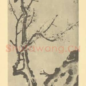 清代 赵秉冲国画作品《梅花》摘自 南画大成 卷三