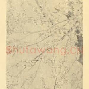 清代 钱善扬国画作品《梅花》摘自 南画大成 卷三