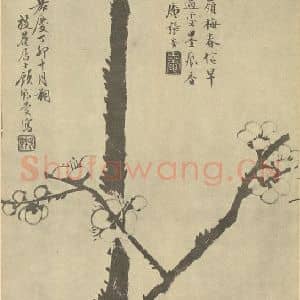清代 顾鹤庆国画作品《梅花》摘自 南画大成 卷三