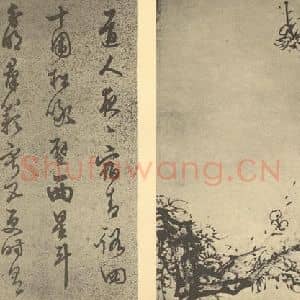 明代 陈继儒国画作品《梅花(二)》摘自 南画大成 卷三