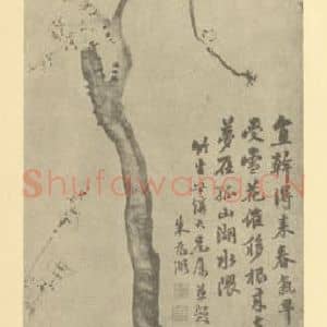 清代 朱为弼国画作品《梅花》摘自 南画大成 卷三