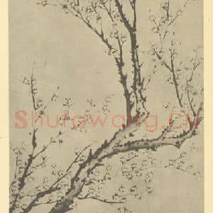 清代 钱聚朝国画作品《梅花》摘自 南画大成 卷三