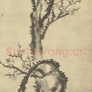 清代 陈铣国画作品《梅花》摘自 南画大成 卷三