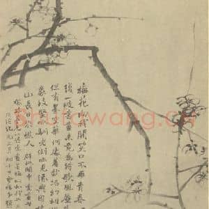 清代 赵之谦国画作品《梅花》摘自 南画大成 卷三