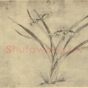 宋代 赵孟坚国画作品《水仙》摘自 南画大成 卷三
