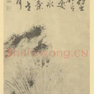 明代 陈淳国画作品《水仙》摘自 南画大成 卷三