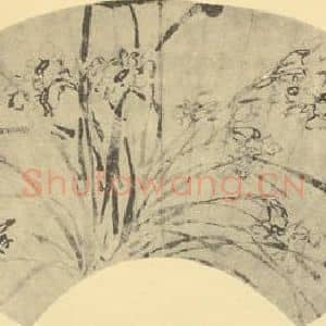 明代 陈淳国画作品《水仙》摘自 南画大成 卷三