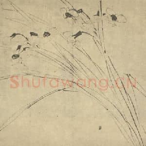 明代 陈淳国画作品《水仙》摘自 南画大成 卷三