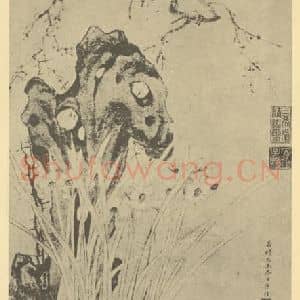 明代 孙枝国画作品《水仙》摘自 南画大成 卷三