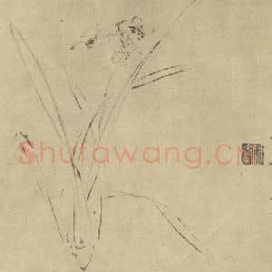 明代 徐渭国画作品《水仙》摘自 南画大成 卷三