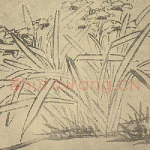 明代 徐渭国画作品《水仙》摘自 南画大成 卷三