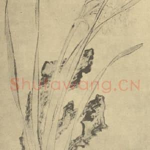 明代 大憨国画作品《水仙》摘自 南画大成 卷三