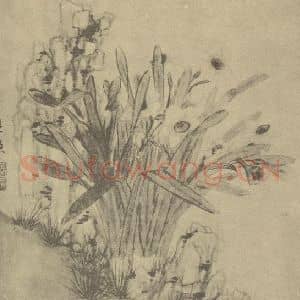 清代 张穆国画作品《水仙》摘自 南画大成 卷三