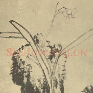 清代 朱耷国画作品《水仙》摘自 南画大成 卷三