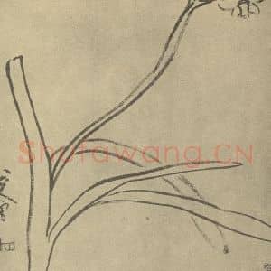 清代 朱耷国画作品《水仙》摘自 南画大成 卷三