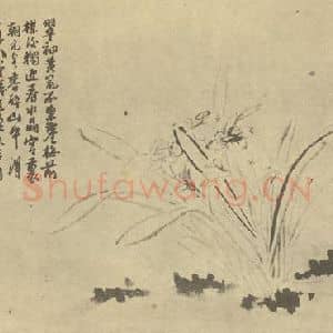 清代 道济国画作品《水仙》摘自 南画大成 卷三