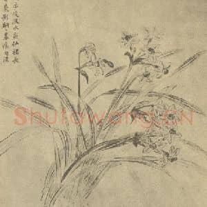 清代 蒋廷锡国画作品《水仙》摘自 南画大成 卷三