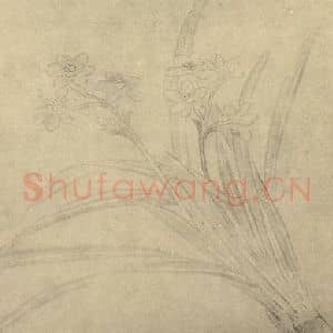 清代 蒋廷锡国画作品《水仙》摘自 南画大成 卷三