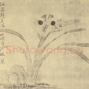 清代 汪士慎国画作品《水仙》摘自 南画大成 卷三