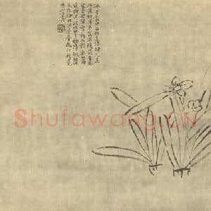 清代 陈撰国画作品《水仙》摘自 南画大成 卷三