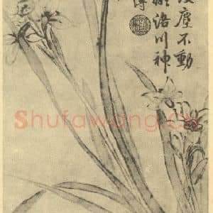 清代 蒋溥国画作品《水仙》摘自 南画大成 卷三