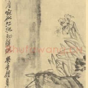 清代 吴昌硕国画作品《水仙》摘自 南画大成 卷三