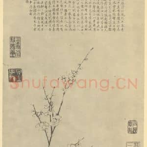 清代 张照国画作品《梅花》摘自 南画大成 卷三