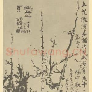 清代 高凤翰国画作品《梅花(一)》摘自 南画大成 卷三