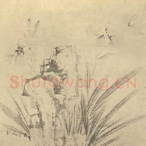 明代 陈淳国画作品《萱草图》摘自 南画大成 卷四