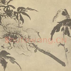 清代 高凤翰国画作品《黄葵》摘自 南画大成 卷四
