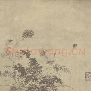 清代 金农国画作品《罂粟》摘自 南画大成 卷四