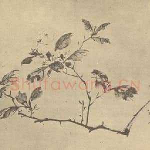 明代 陈淳国画作品《茉莉》摘自 南画大成 卷四