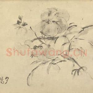清代 李鳝国画作品《秋葵》摘自 南画大成 卷四