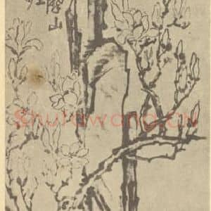 清代 李鳝国画作品《玉兰图》摘自 南画大成 卷四
