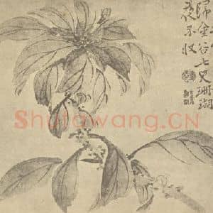 清代 边寿民国画作品《桂花》摘自 南画大成 卷四