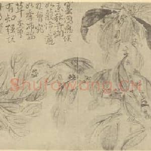 清代 边寿民国画作品《雁来红》摘自 南画大成 卷四