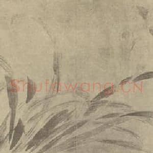 清代 边寿民国画作品《萱草》摘自 南画大成 卷四