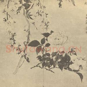 清代 邹一桂国画作品《蔷薇藤花》摘自 南画大成 卷四