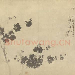 清代 邹一桂国画作品《蜡梅》摘自 南画大成 卷四